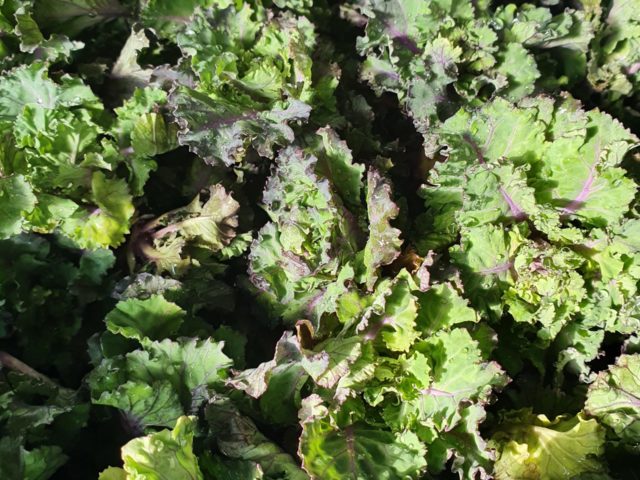 Flower Sprouts